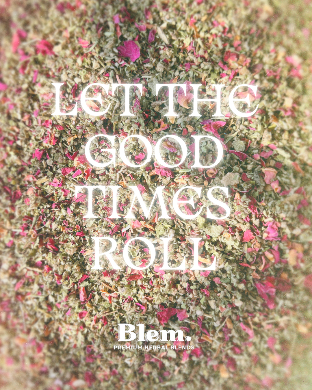 Box of 50 - Blem's Premium Herbal Blend (Become a Supplier!)